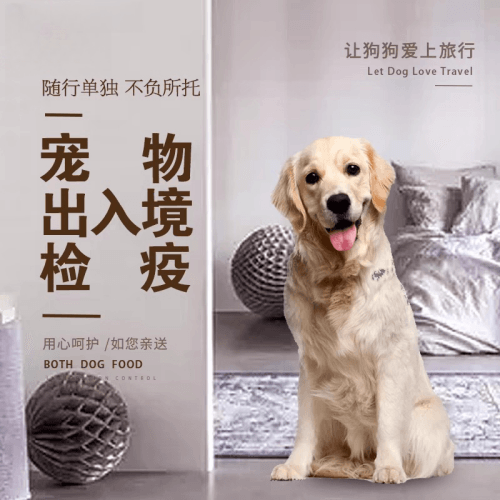 泸州市宠物托运到哥伦比亚猫狗宠物入境规定和