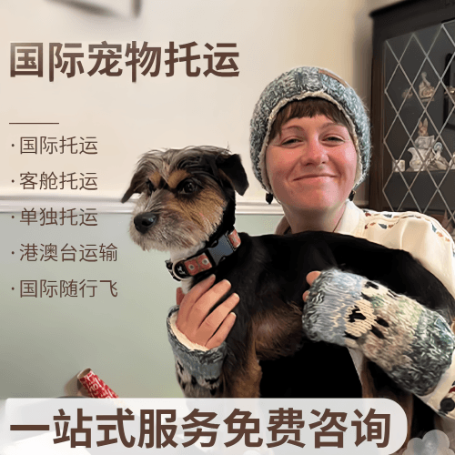 泸州市国际宠物托运到阿根廷宠物入境规定和要