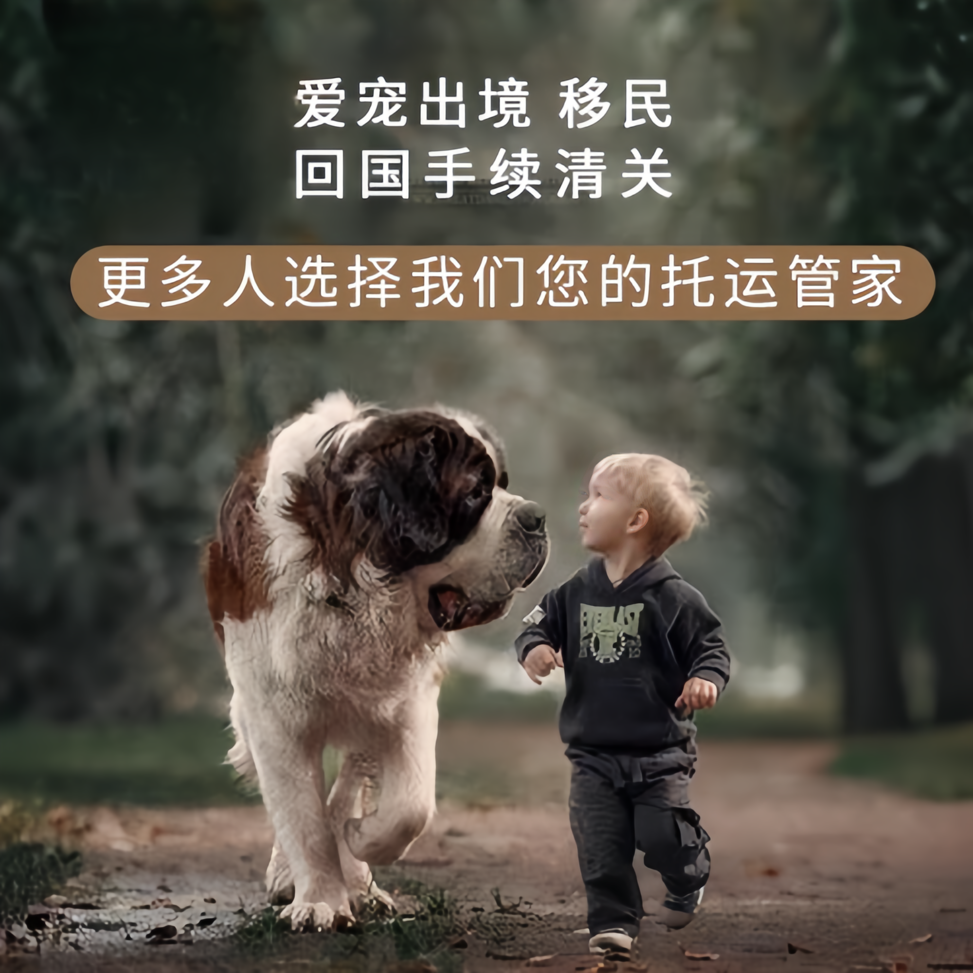 满财泸州市宠物全球达宠物托运在遵守入境目的地政策的条件